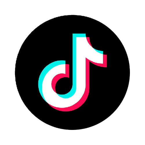 TikTok Icon